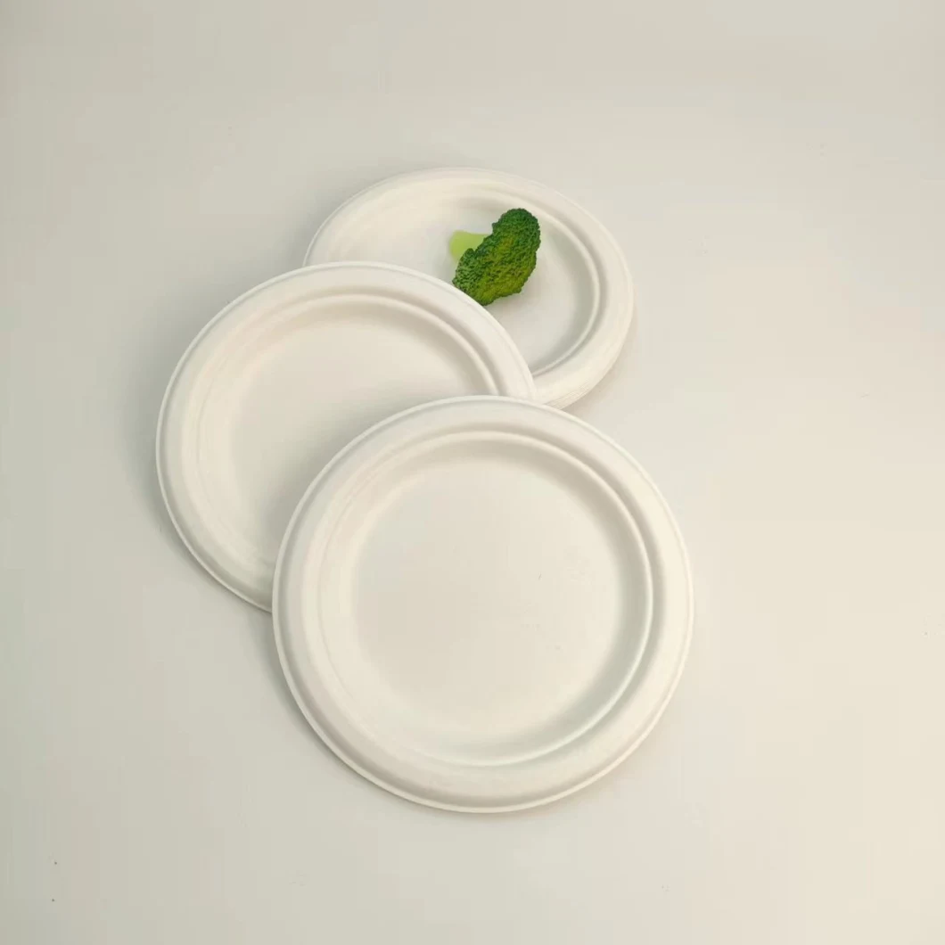 Biodegradable Food Container Bagasse Disposable Oval Cake Tray Fruit Plate